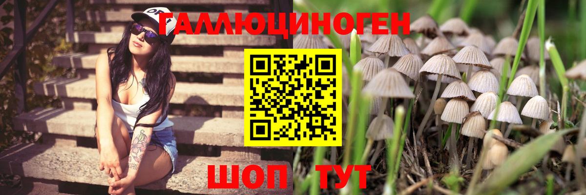 Псилоцибиновые грибы мухоморы  Псилоцибиновые грибы Magic Shrooms  Вход с VPN  Богородицк 
