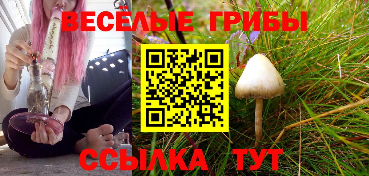 Галлюциногенные грибы Psilocybine cubensis Богородицк